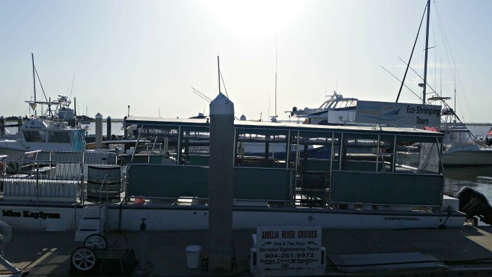 amelia river cruises