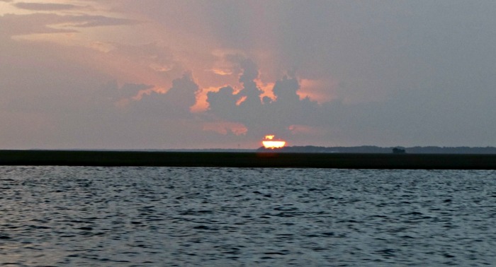 amelia river cruises