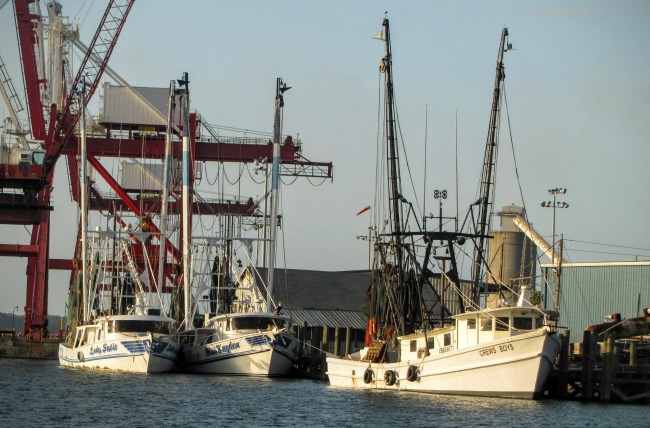 shrimp-boats